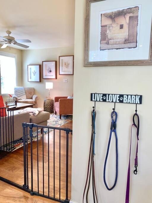 The Comforts' Inn: Mountain Escape Mountainaire 외부 사진
