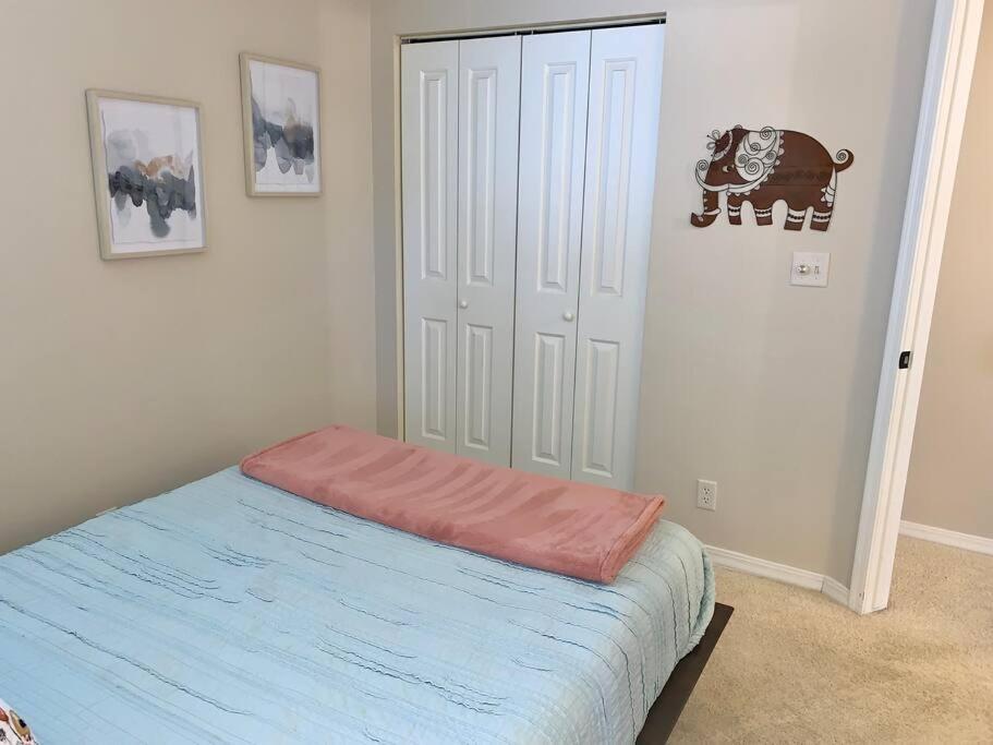 The Comforts' Inn: Mountain Escape Mountainaire 외부 사진